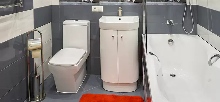 Hansgrohe Shaving Mirror North Tonawanda