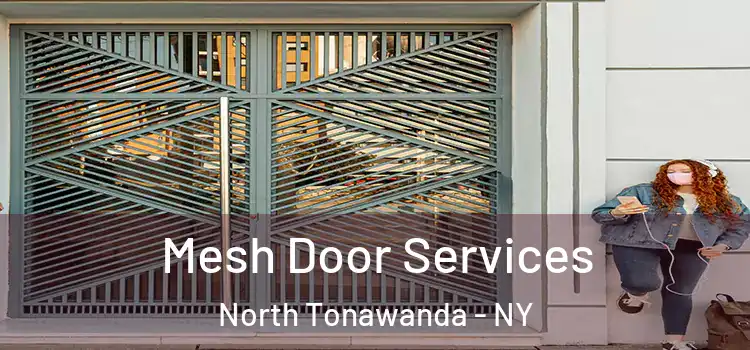 Mesh Door Services North Tonawanda - NY